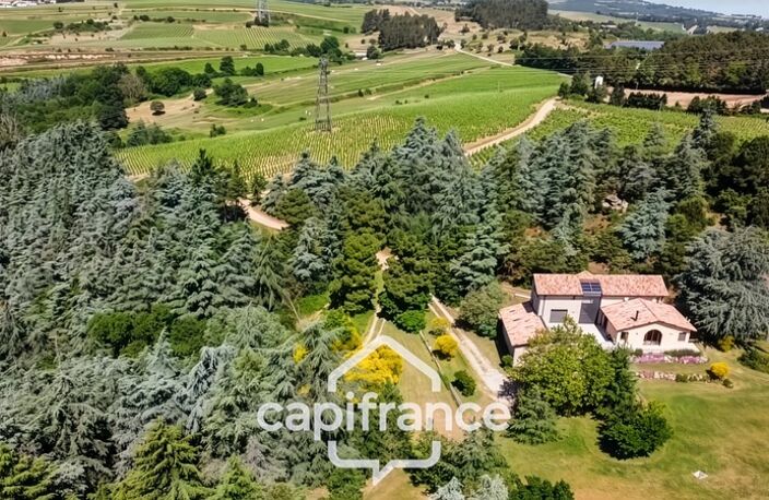 Propriété d’Exception – Domaine Privé en AOP Cornas // L’Art de Vivre, l’Élégance et la Nature en Harmonie — photo 4