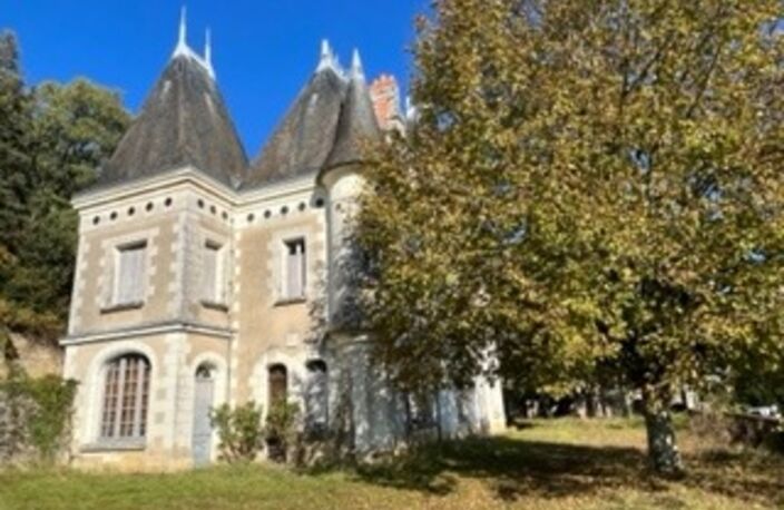 Sublime château édifié au XVI°et remanié au XIX° surblomblant la vallée de la Loire entre Amboise et Tours — photo 2