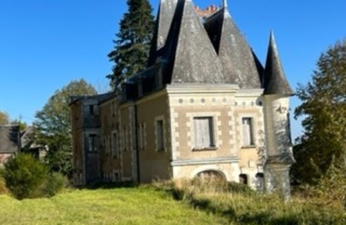 Sublime château édifié au XVI°et remanié au XIX° surblomblant la vallée de la Loire entre Amboise et Tours — photo 4