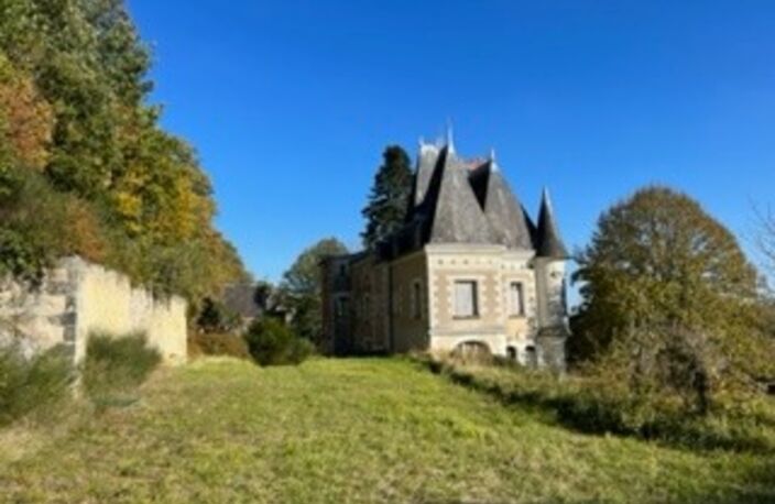 Sublime château édifié au XVI°et remanié au XIX° surblomblant la vallée de la Loire entre Amboise et Tours — photo 5