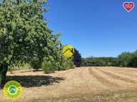 Campagnarde au calme — photo 2
