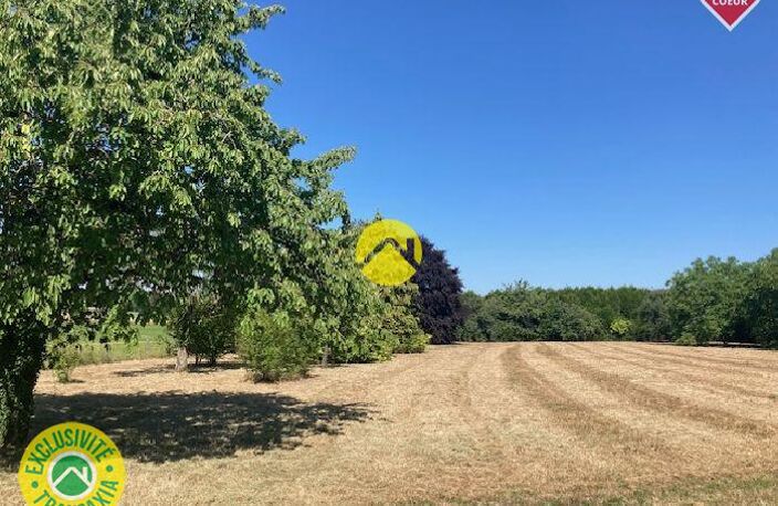Campagnarde au calme — photo 2