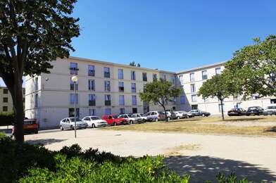 Appartement 3 pièces 505 €