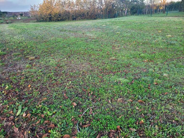 Terrain Fontenay Le Comte 738 m2 — photo 1