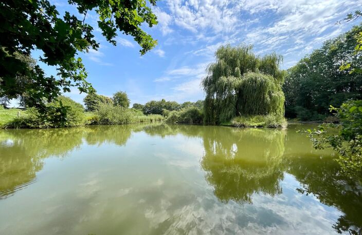En campagne — photo 4