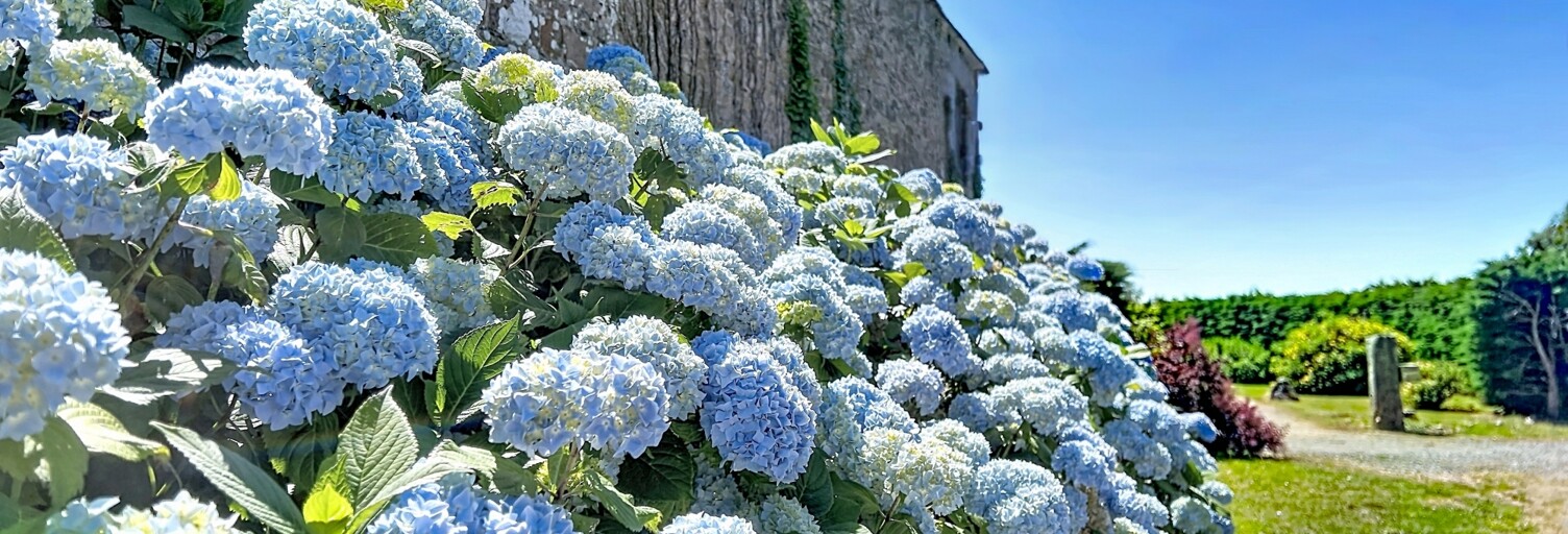 Photo N° 2