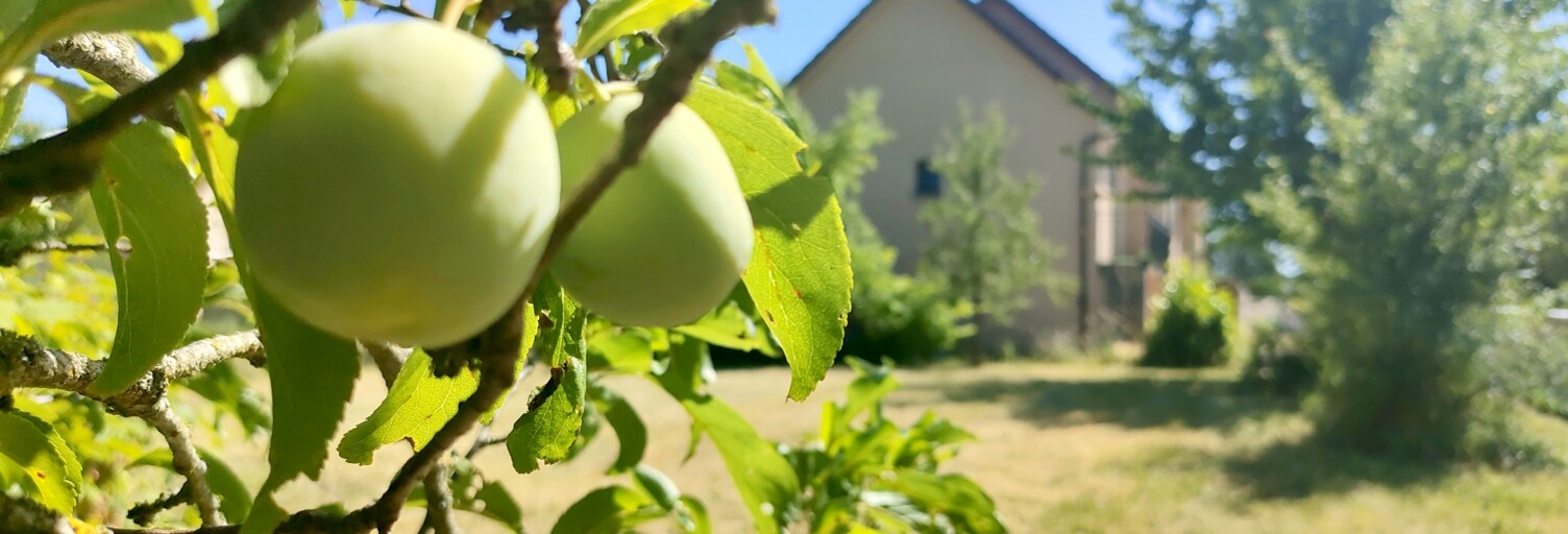 Maison 7 Pièces 144 m² à vendre à Vougeot (21640)