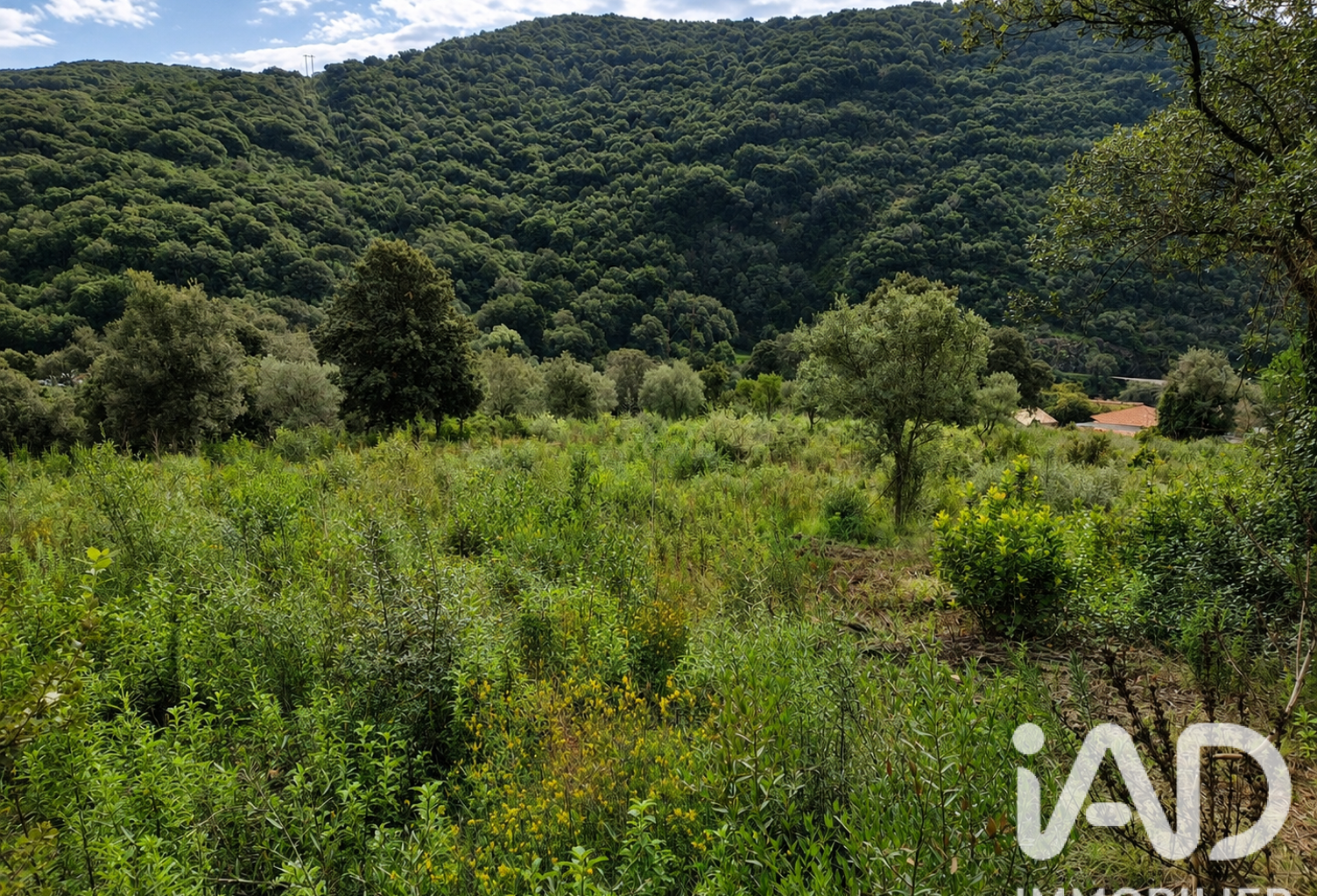 Vente Terrain à bâtir 14 741 m&sup2; — photo 1