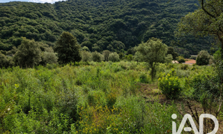Terrain  14741 m² à vendre à Ocana (20117)