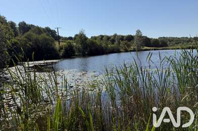 Terrain  29000 €