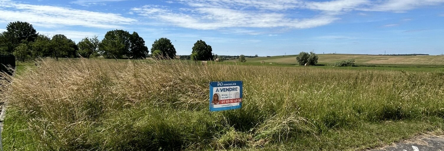 Terrain  1000 m² à vendre à Hazembourg (57430)