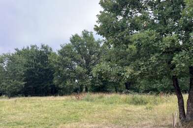 Terrain  33000 €