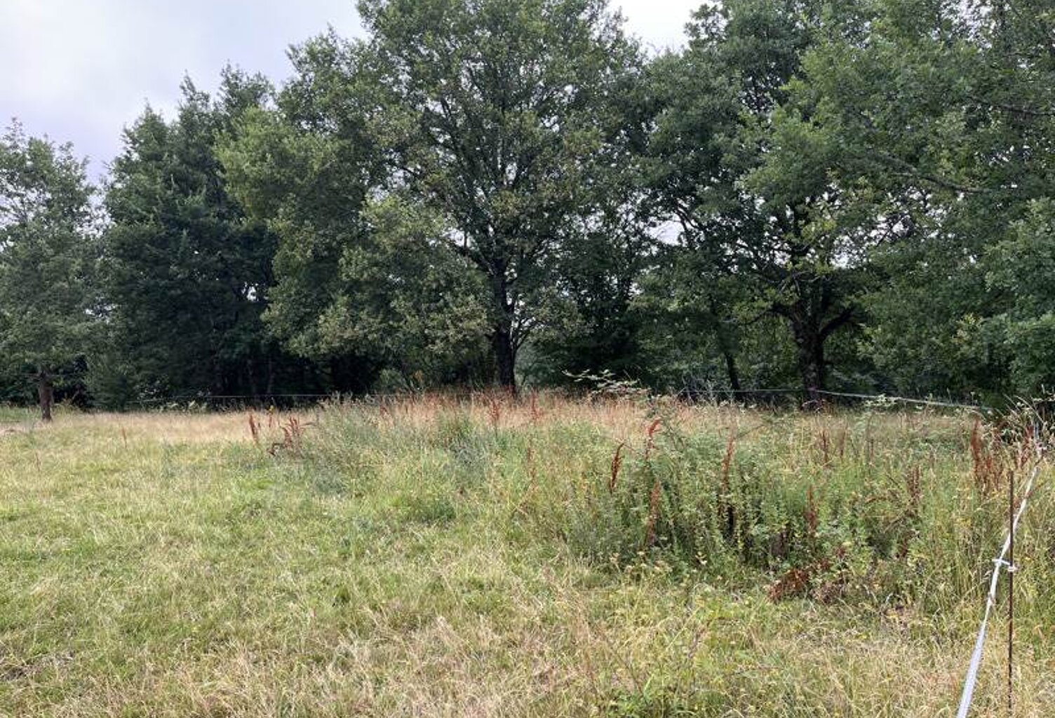 Terrain à bâtir de 0 pièces principales — photo 1