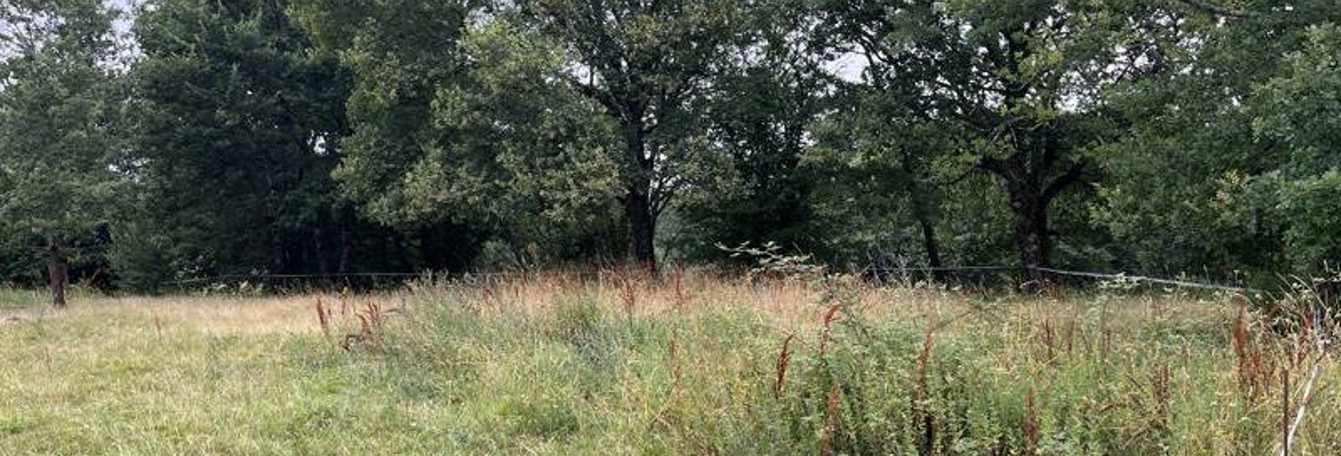 Terrain  1331 m² à vendre à Nogaro (32110)