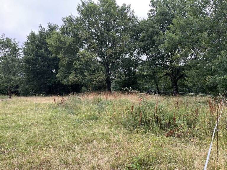Terrain à bâtir de 0 pièces principales — photo 1