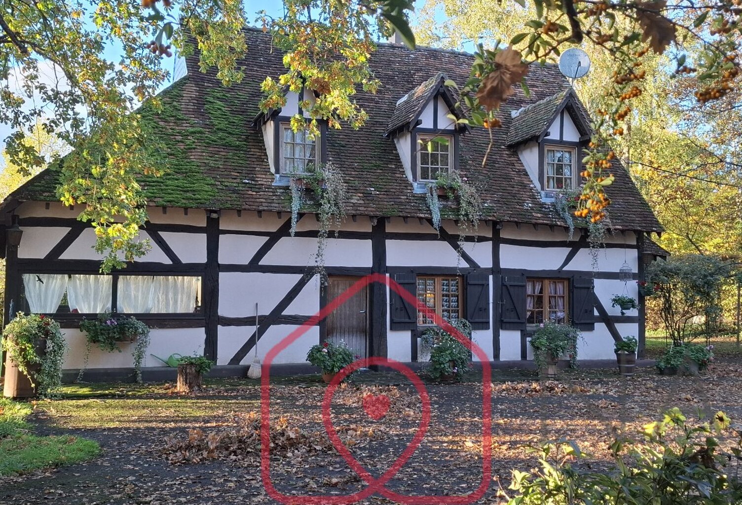 Charmante authentique maison de campagne berrichonne — photo 1