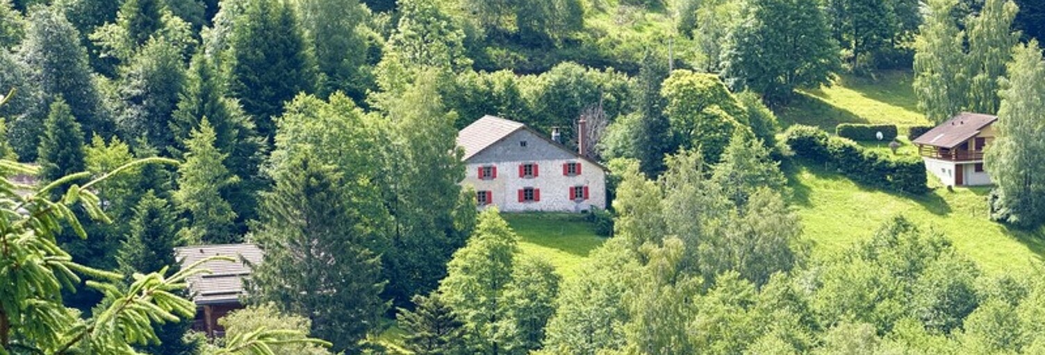 Maison 6 Pièces 119 m² à vendre à Ventron (88310)