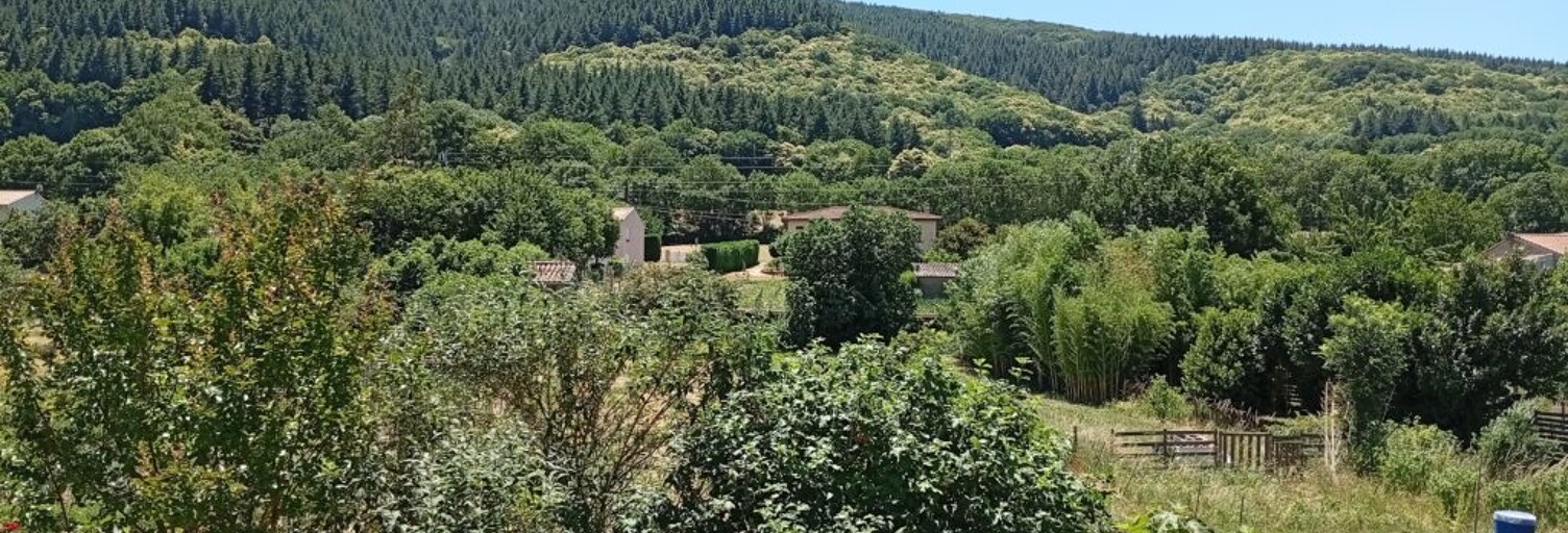 Maison 4 Pièces 95 m² à vendre à Lacabarède (81240)