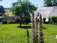 Maison de cachet à la campagne — photo 4