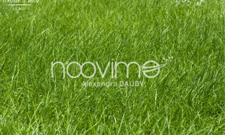 Terrain  595 m² à vendre à Ligné (44850)