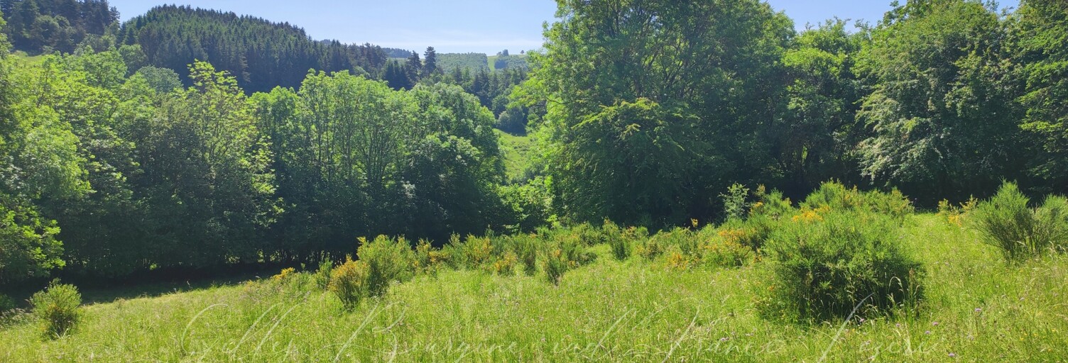 Terrain  4480 m² à vendre à Peyre en Aubrac (48130)