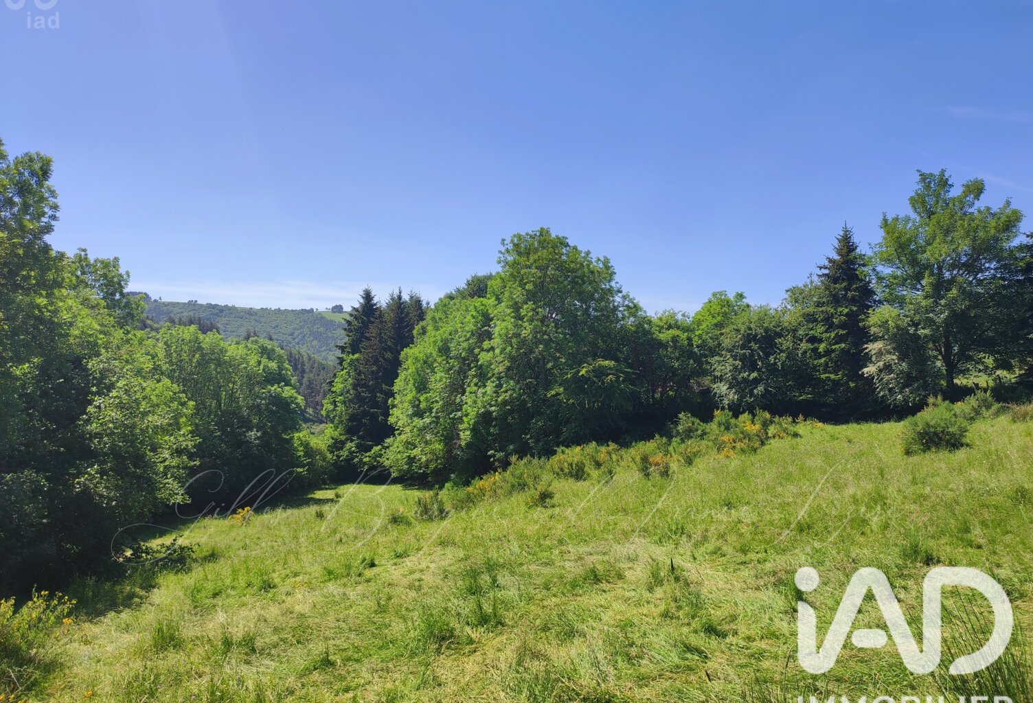 Vente Terrain à bâtir 4 480 m&sup2; — photo 1