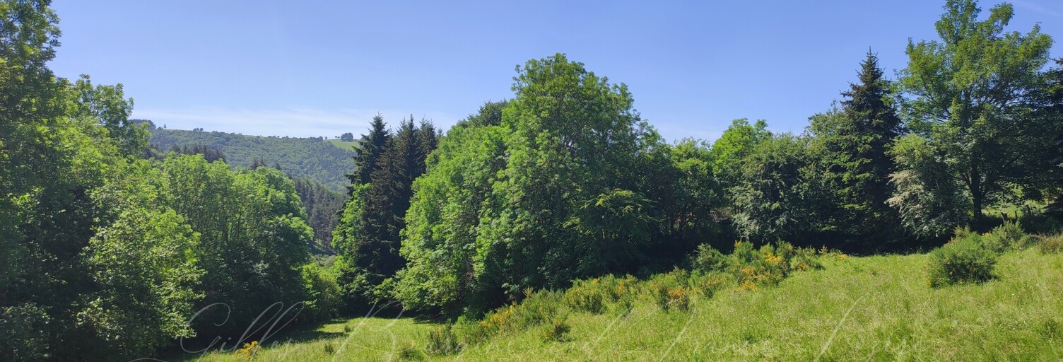 Terrain  4480 m² à vendre à Peyre en Aubrac (48130)