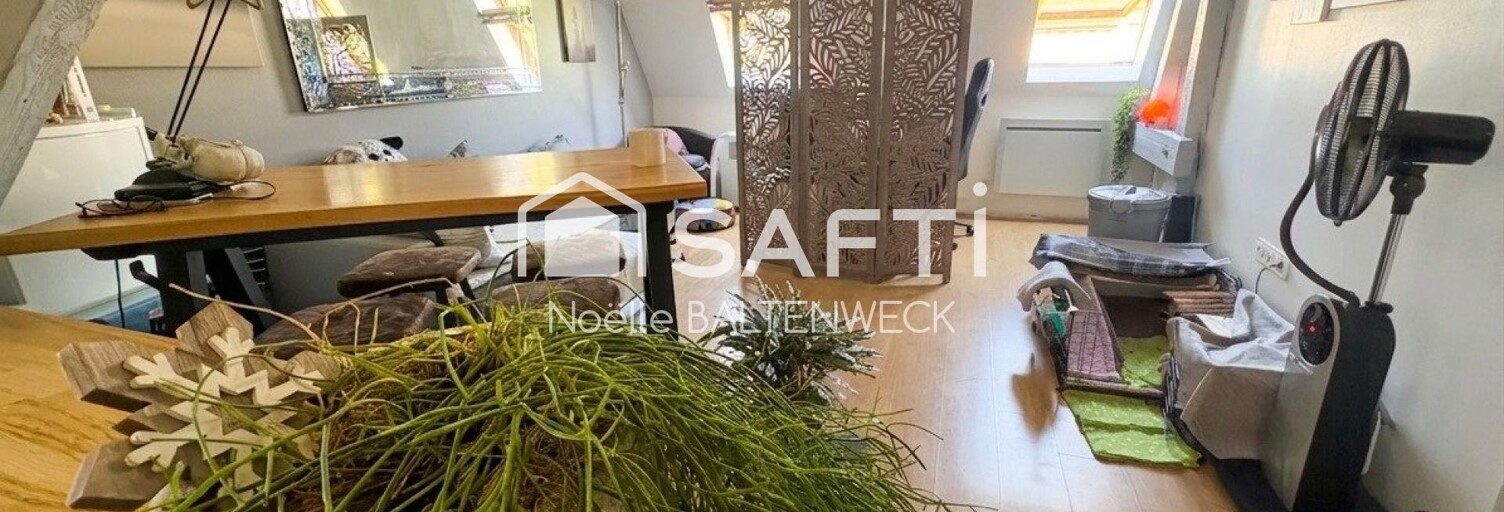 Appartement 1 Pièce 31 m² à vendre à Ribeauvillé (68150)