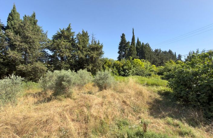 Mas avec dépendances sur grand terrain — photo 3
