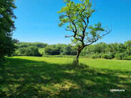 Terrain constructible Proche Brive , secteur Cressensac , AVEC TERRAIN DE TENNIS — photo 3