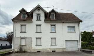 Immeuble  250 m² à vendre à Village-Neuf (68128)