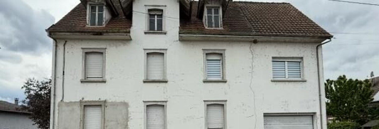 Immeuble  250 m² à vendre à Village-Neuf (68128)