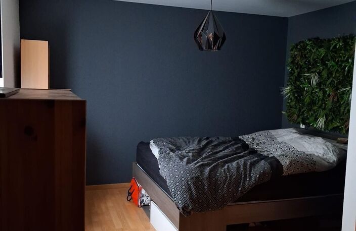 Vente immeuble  250 m² Village-Neuf (68128) — photo 5