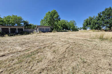 Terrain  65000 €
