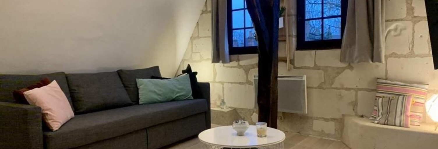 Appartement 1 Pièce 22 m² à louer à Tours (37000)
