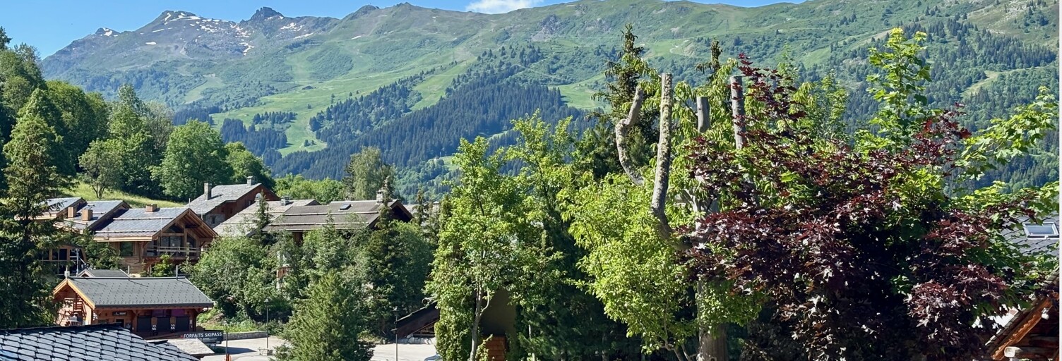 Terrain  300 m² à vendre à Les Allues (73550)