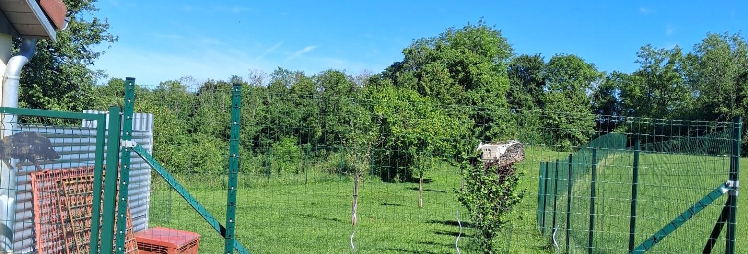 Photo N° 2