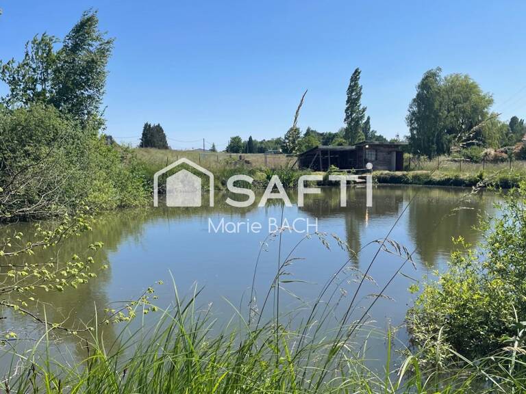 Etang de loisir — photo 1