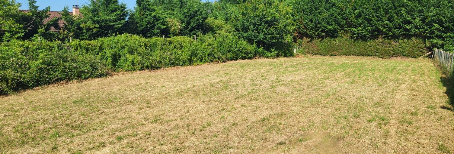 Terrain  966 m² à vendre à Laiz (01290)