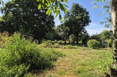 Terrain  55500 €
