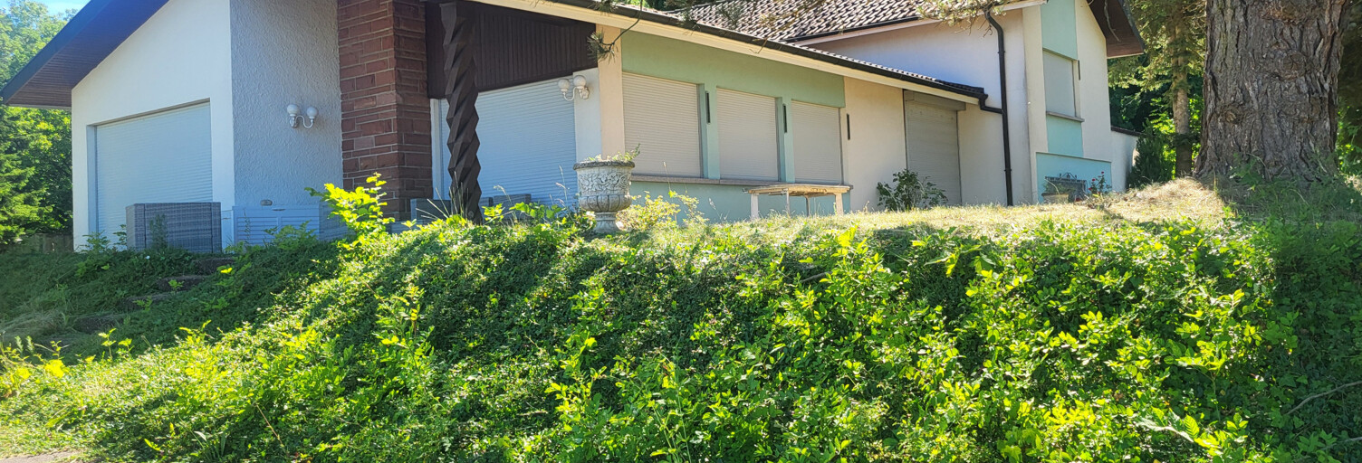 Maison 6 Pièces 224 m² à vendre à Ranspach-le-Bas (68730)