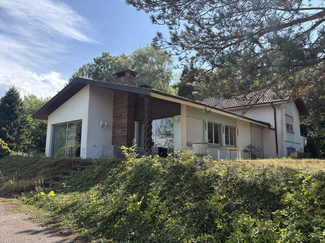 Maison sur grand terrain à l'écart — photo du bien