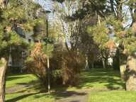 Vente Appartement 5 pièces — photo 2