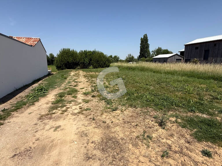 TERRAIN CONSTRUCTIBLE - 1437 m² - A VENDRE - LES CONCHES - LONGEVILLE SUR MER — photo 1