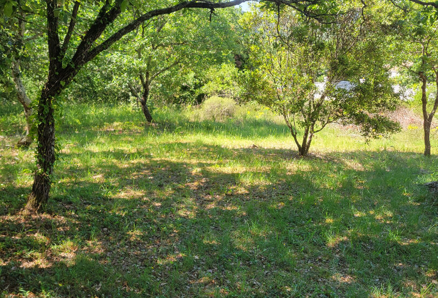 La Boissière  Terrain constructible de 3000m² — photo 1