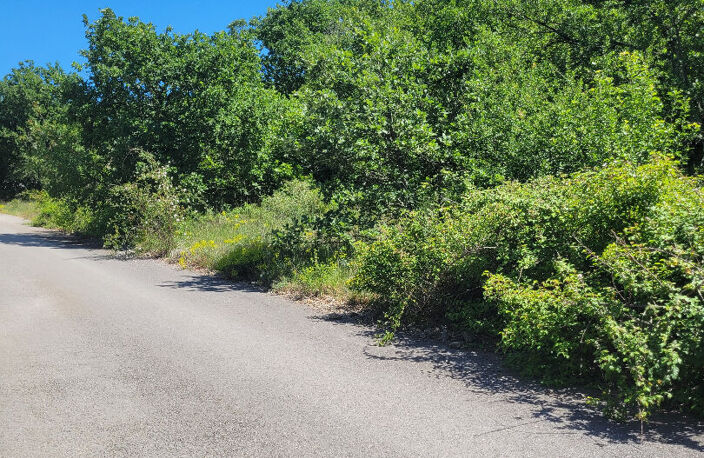 La Boissière  Terrain constructible de 3000m² — photo 3