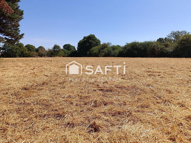 Terrain de 6 963 m² avec partie constructible - Saint-Charles-la-Forêt — photo 1