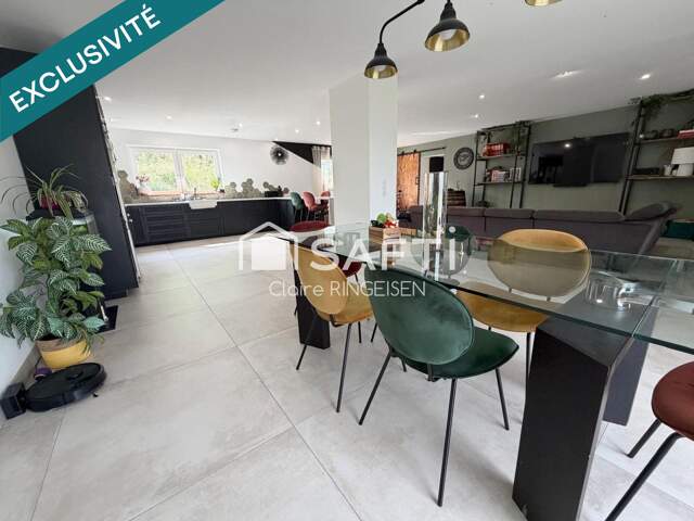 Jolie maison de plain-pied - Local commercial - Deux grands garages - Hangar — photo du bien