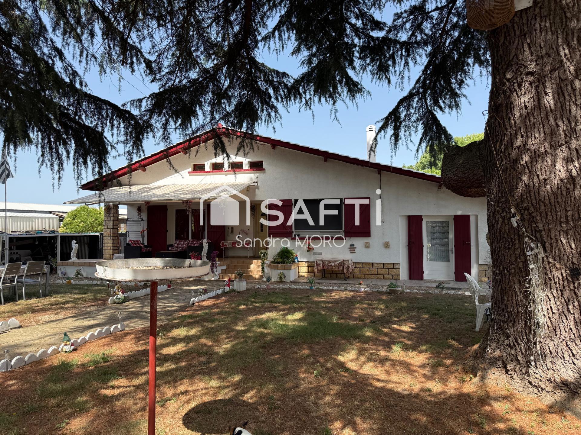 Agence immobilière de SAFTI