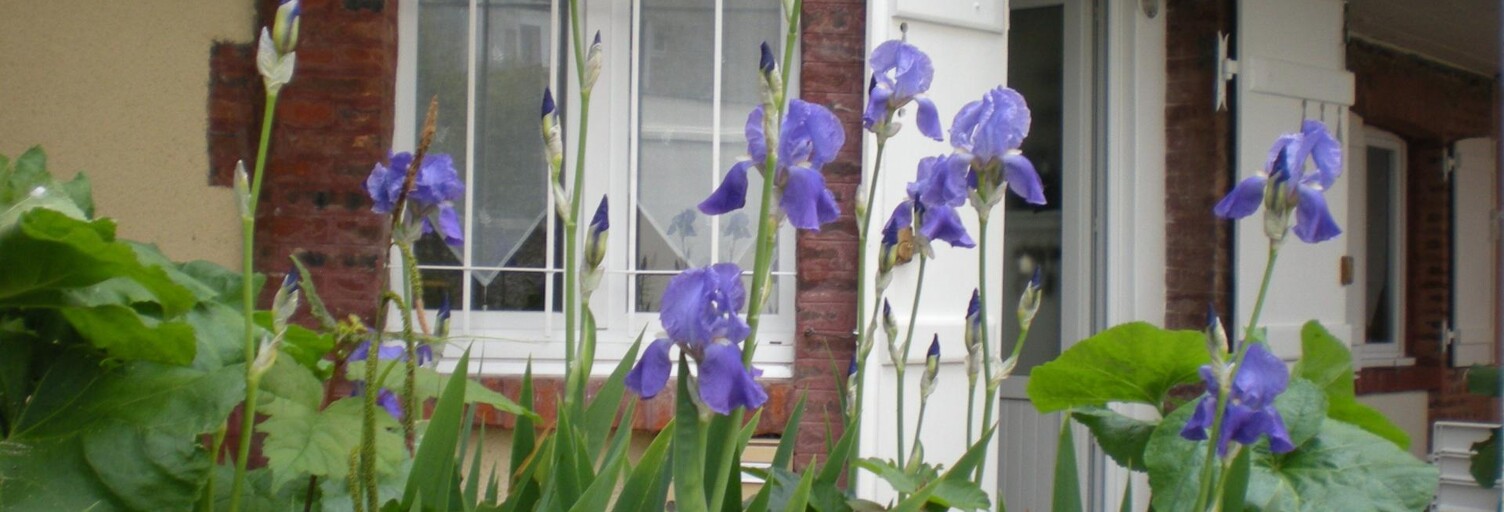 Photo N° 2